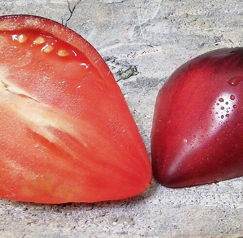 10bd93_5ebb97e192454cd399d3d886dd13af3b~mv2