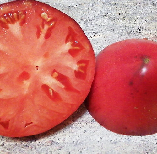 10bd93_7a51cf178ea947ef82f4597c4b3f243c~mv2