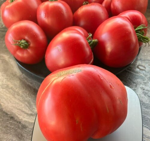 22ff7250-f64f-4299-bf84-e38e92052476-605x807