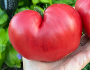 3b3d5e10-8c2e-44b6-9fd9-619e3aa3975a-605x807