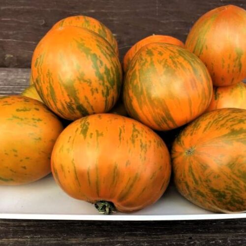 807040071_1-3.JPG.c65abb48d777d8f895e7bcb481b8df3d