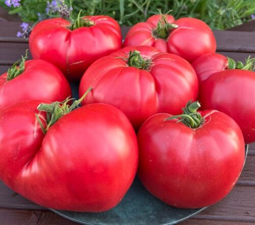 a440490e-1625-469a-b566-5f32d84e58dd-605x807