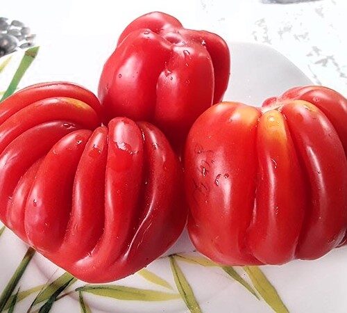 semena-tomat-pitanga-krasnaya-pitanga-red_big_3