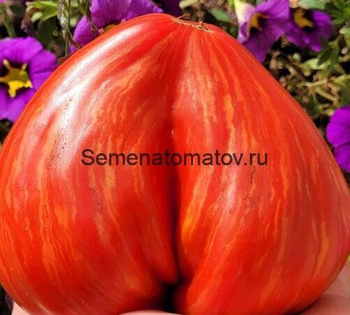 козула-96-еще-600x450