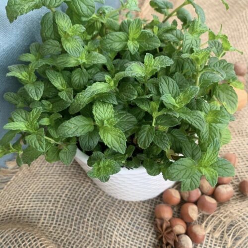 Латте с фундуком