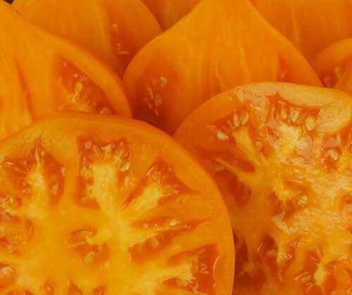 Заилийский Алатау