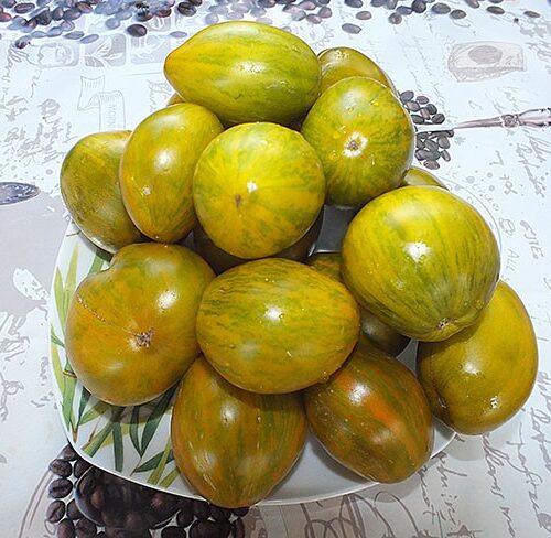 гном модная мэри