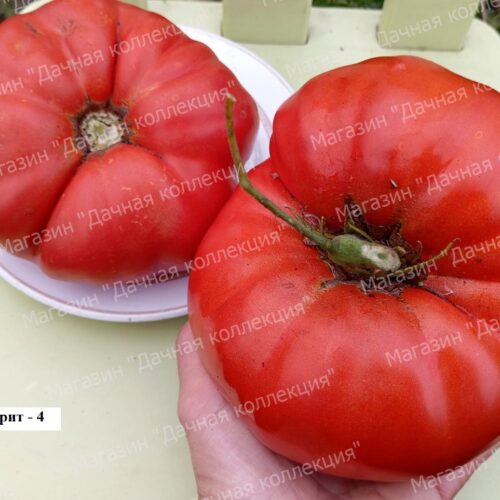 68c850c83830c_photo_2025-09-15_21-41-1