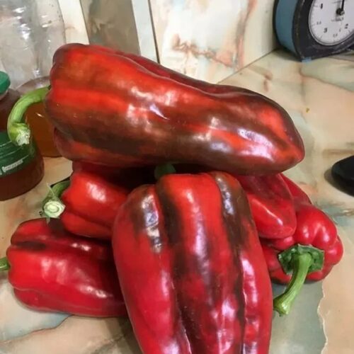 мордовский богатыь