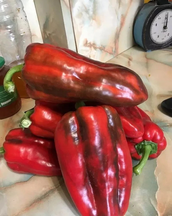 мордовский богатыь