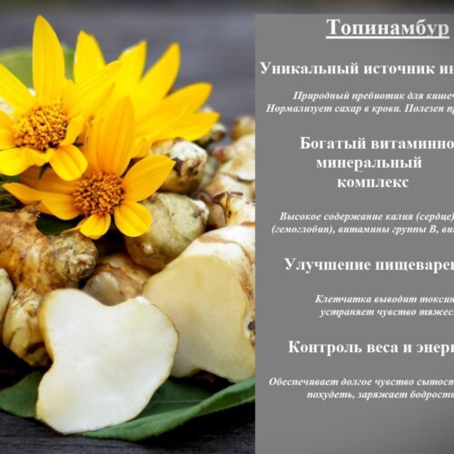 Баннер2