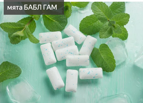 МЯТА БАБЛ ГАМ