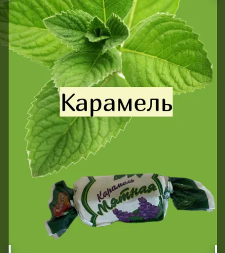 МЯТА КАРАМЕЛЬНАЯ 1