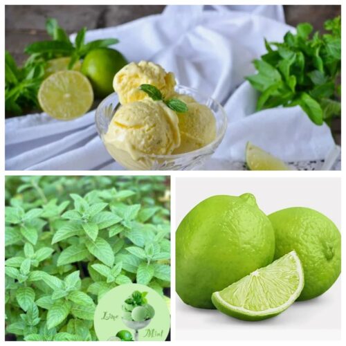 коллаж Мята Лаймовое мороженое