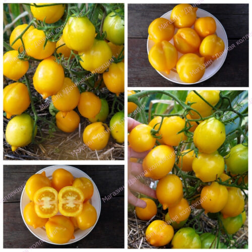 ВЗ
