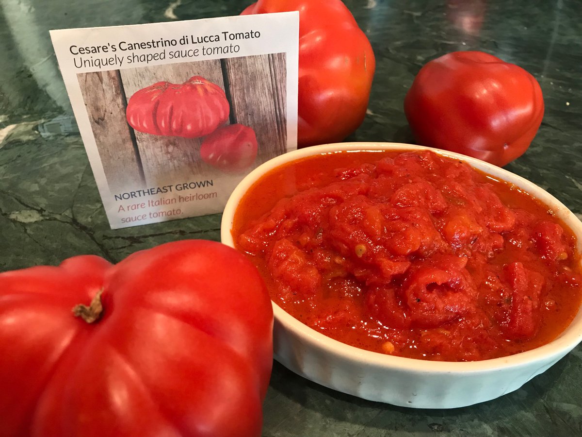 помидоры сердце италии описание сорта