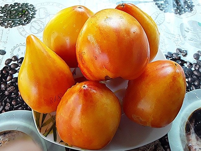 8gYkEZx6Z-8iTFFzYyNdjDMshGrhslg_txxq1m67roHkeYYuF_1qmRp-oqwE1Fx8x1BThAonHHfH0sRftN2XQkuJ