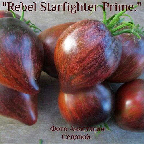 Rebel-Starfighter-Prime