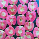 190410-aliza-sokolow-food-grams-farmers-markets-rose-apples-10-700x784