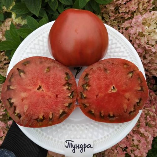 IMG_20210903_130538.jpg.6546e0d5ca139d3df1c49d9341d9d905-500x500