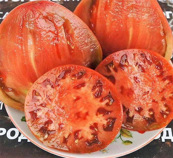 pomidor-tundra-1