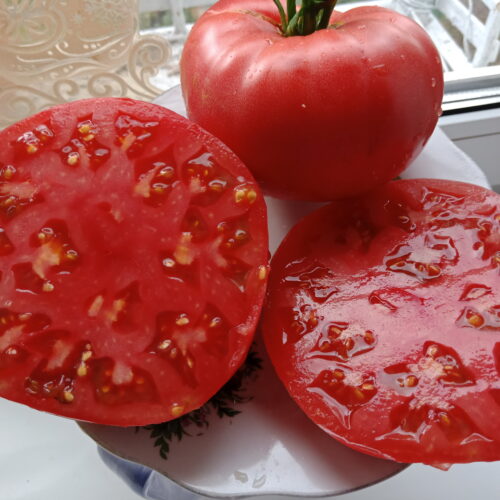 "Винные сорта" томатов