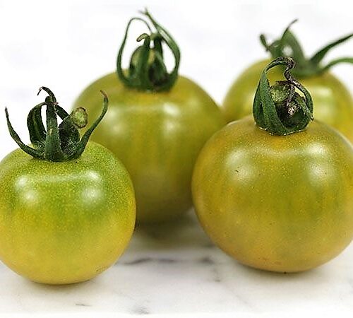 848fb4b25ec09919af10ed93a8bb45a8--green-tomatoes-heirloom-tomatoes