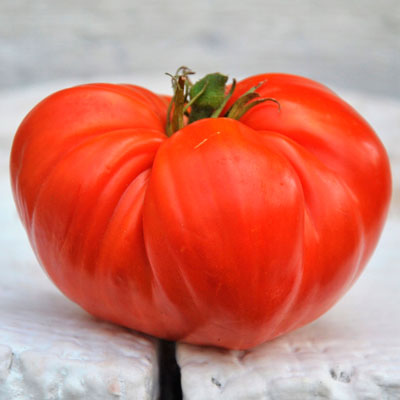 tomat-belmonte