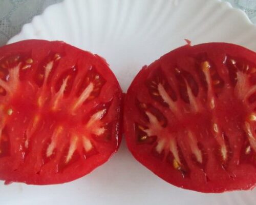 tomat-vinnyj-bolgarskij-velikan-v-razreze