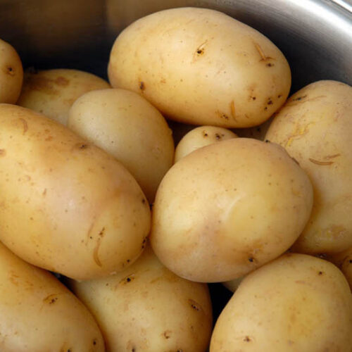 Картофель семенной голубизна. Картофель семенной сюрприз. Сорта картофеля рассыпчатые при варке. Сорт картофеля голубизна фото. Картофель голубизна