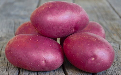 Сорт картофеля с розовыми глазками. Картофель Галактика. Картофель длинный розовый. Кармен картофель характеристика отзывы