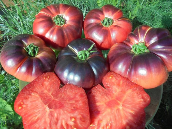 tomat-lazurnyiy-gigant-f1-v-razreze