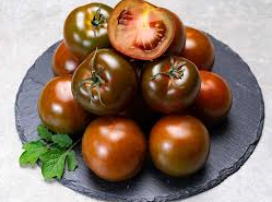 лапа кенгуру коричневая 2