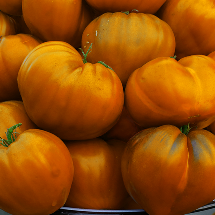 помидоры сорт дынный фото. томат дыня серебристая. помидоры сорт дынный фото. томат староверы. томат суровая дыня немцев поволжья отзывы.