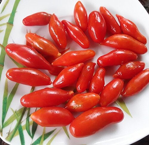 semena-tomat-dachtyla-mynoa-dahtila-minoa_big