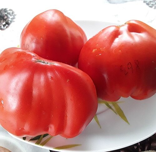 semena-tomat-grebeshok-krasniy_big_2