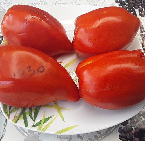 semena-tomat-krasniy-grebeshok-bortnikovih_big