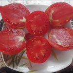 semena-tomat-yaponka_big_1