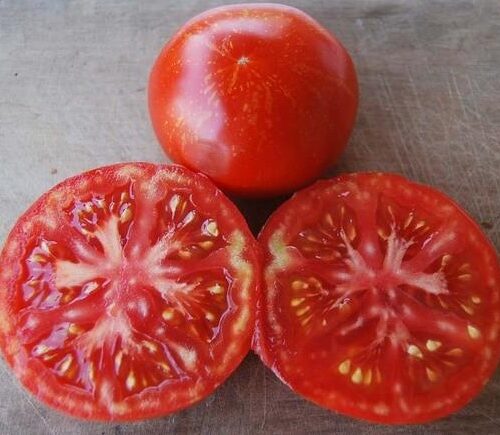 tomato-redflashlight-01