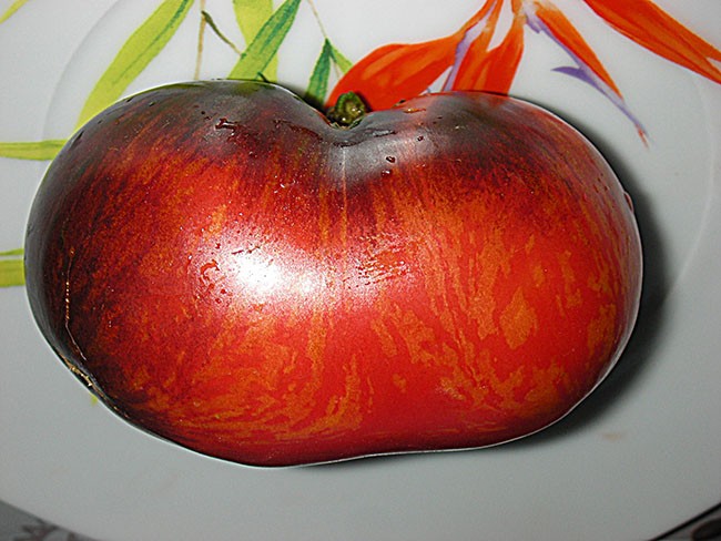 semena-tomat-zolotoe-yabloko-iz-sen-jan-de-boregar-pommed-or-de-saint-jean-de-beauregard_big_5