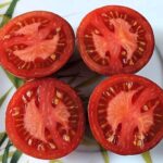 semena-tomat-zolotoe-yabloko-iz-sen-jan-de-boregar-pommed-or-de-saint-jean-de-beauregard_big_1
