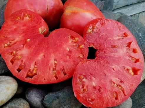 Eriche Grosse Herz (Большое Сердце Эриче )-500x500