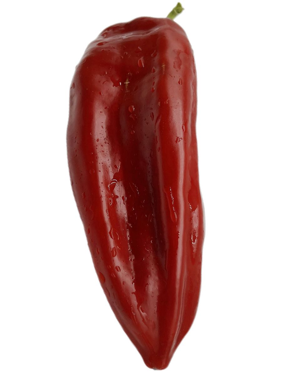 мордовский богатырь.webp1