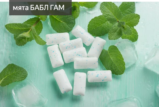 МЯТА БАБЛ ГАМ