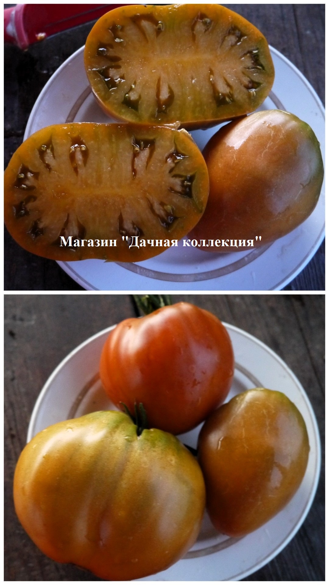 вз1